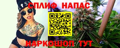 гашик Краснознаменск