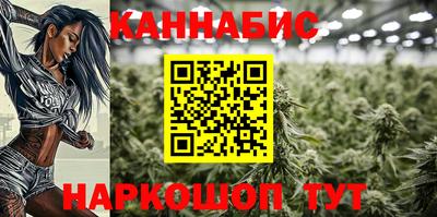 гашик Краснознаменск