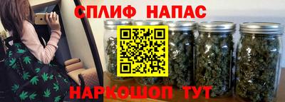 гашик Краснознаменск