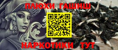 гашик Краснознаменск
