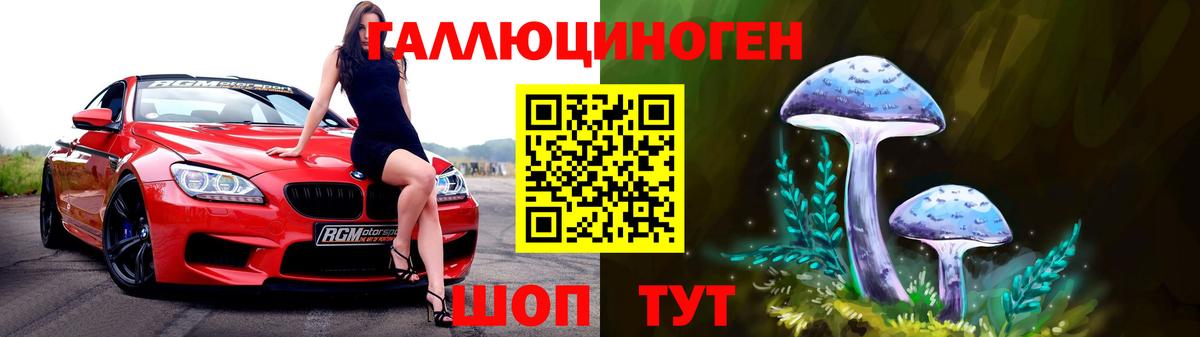 Камышин  Галлюциногенные грибы Magic Shrooms  купить наркоту  Вход с VPN 
